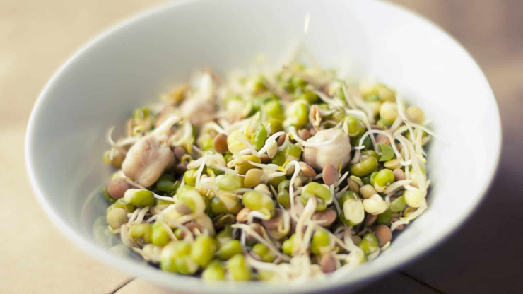 sprouts for weight loss