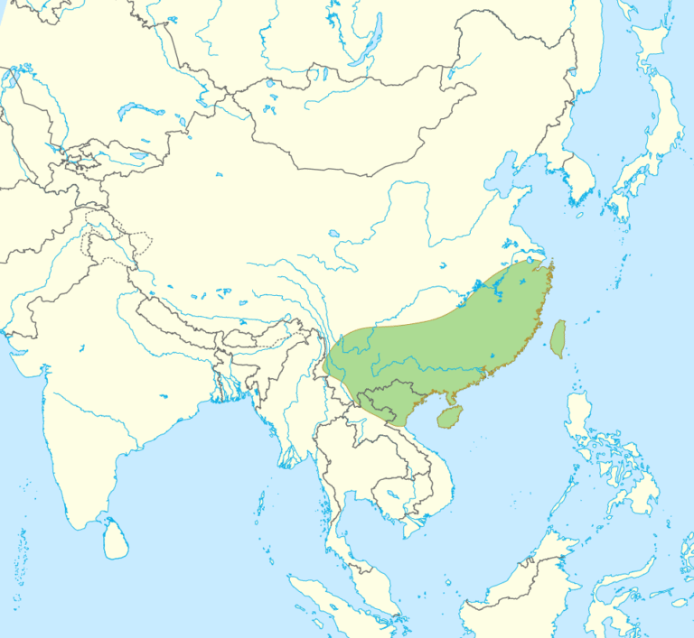 5 Fakta Ular Kobra China, Termasuk Ular Berbahaya dari Asia Timur!